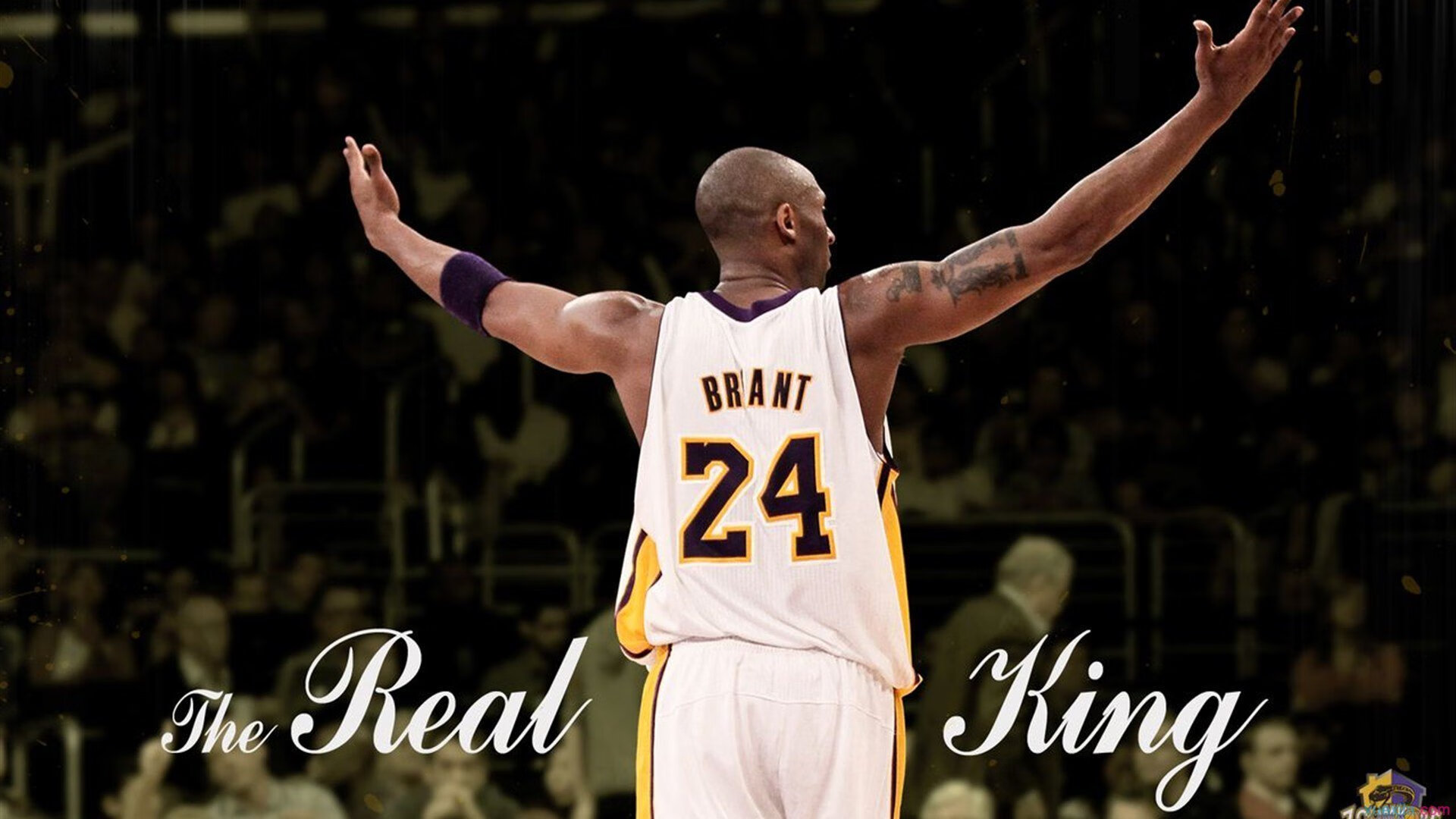 焦点田径跳高技术演变与得分要点